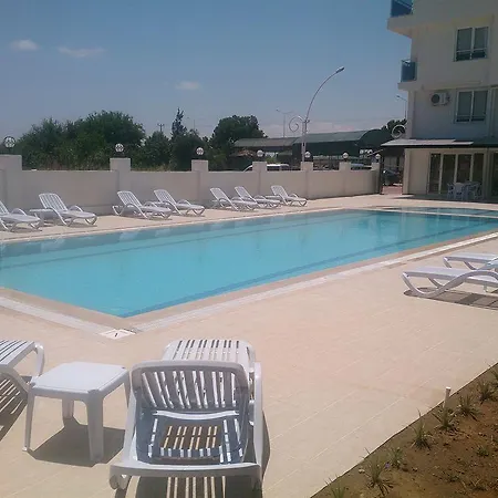 Sarp (adults Only)