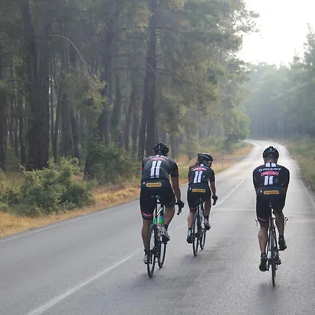 Hotel Sarp Belek (adults Only) Kadriye